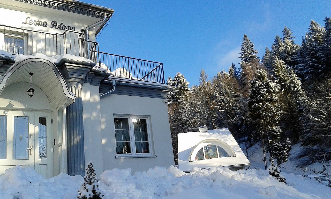 Lesna Polana- Blisko Centrum, Mini Spa, Cicha, Spokojna Okolica, Parking Gratis Krynica-Zdrój Exteriör bild